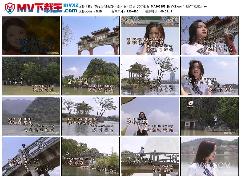 邓丽君-我要对你说(人物)_国语_流行歌曲_MA105858